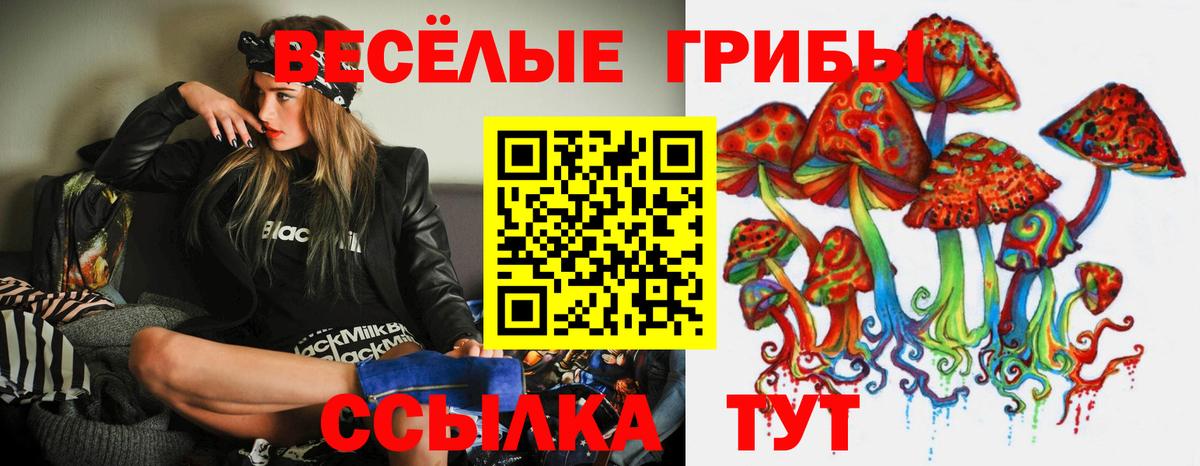 Галлюциногенные грибы Magic Shrooms Рязань