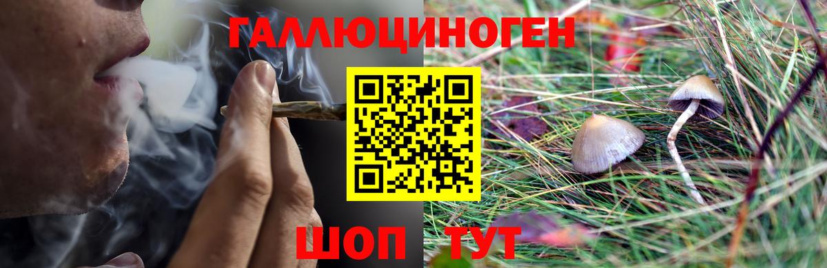 Псилоцибиновые грибы Psilocybe  Вход с VPN  Рязань 